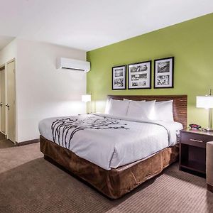 King Room Disability Access